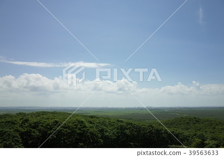 夏天的釧路濕地_北海道 夏天的釧路濕地_北海道 39563633