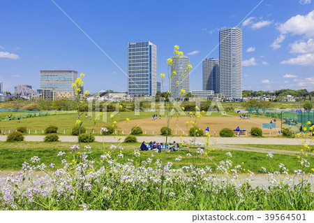 二子玉川的高層建築 二子玉川的高層建築 39564501