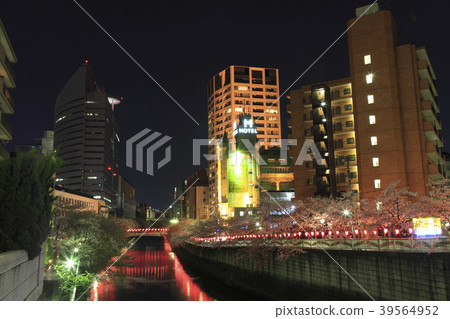 Megurogawa Sakura Festival Evening scenery Megurogawa Sakura Festival Evening scenery 39564952