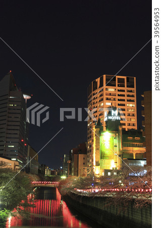 Megurogawa Sakura Festival Evening scenery Megurogawa Sakura Festival Evening scenery 39564953