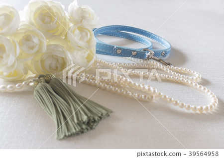 Pet burial 39564958