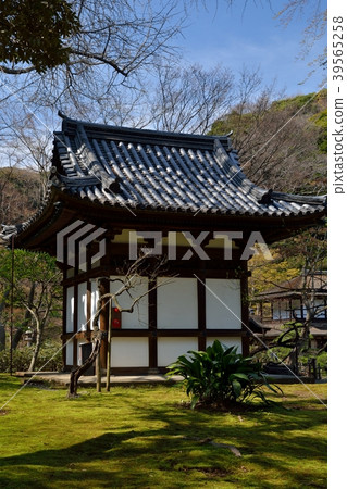 Sanshien garden Old sky ridge Shibusukado 39565258