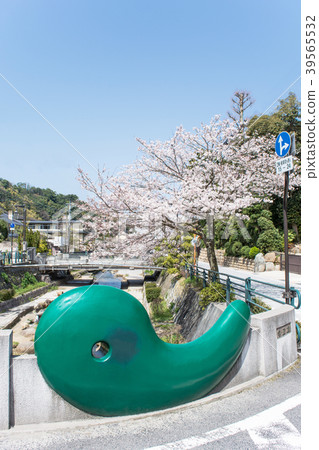 Tamasuko Onsen Hot Spring in the spring 39565532