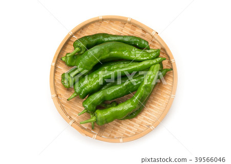 Sweet long bean sprout 39566046