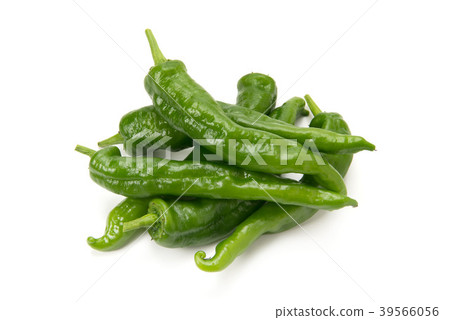 Sweet long bean sprout 39566056