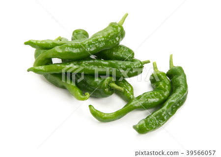 Sweet long bean sprout Sweet long bean sprout 39566057
