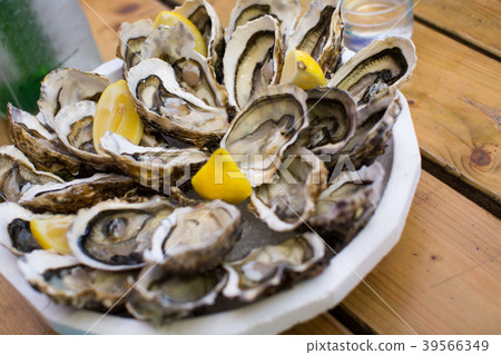 oysters on plate top view oysters on plate top view 39566349