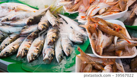 fish on fish market fish on fish market 39567022