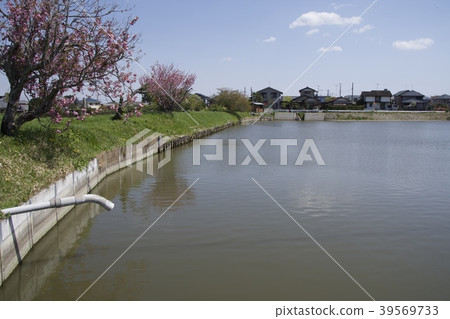 農業圍欄 39569733