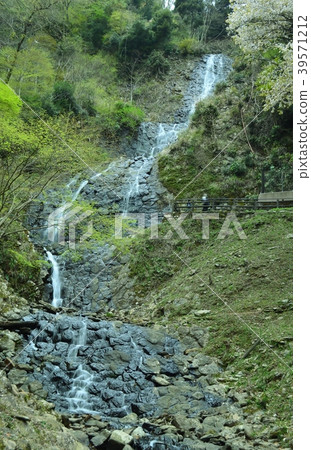 Famous waterfall "Asahi waterfall" of Izu City 39571212
