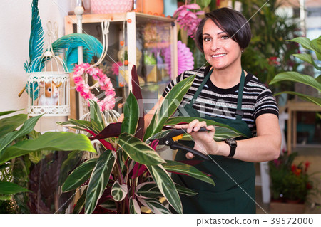 Portrait of female florist arranging calathea flower Portrait of female florist arranging calathea flower 39572000