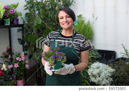 florist holding pot with flower florist holding pot with flower 39572001