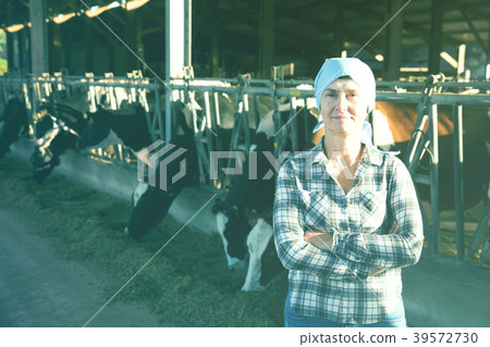 Portrait of woman who is standing near cows Portrait of woman who is standing near cows 39572730