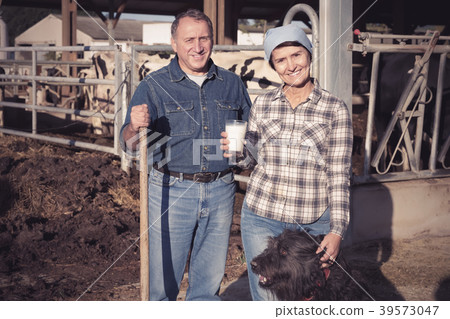 cheerful couple quality experts are checking the quality of milk at the farm cheerful couple quality experts are checking the quality of milk at the farm 39573047