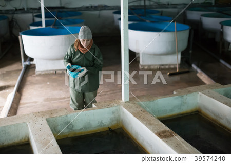 Woman feeding fish in tanks on farm Woman feeding fish in tanks on farm 39574240