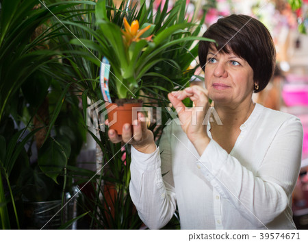 Customer choosing bromelia Customer choosing bromelia 39574671