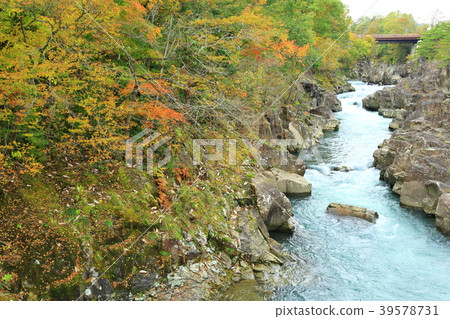 岩手縣Mimikei秋葉風景 岩手縣Mimikei秋葉風景 39578731