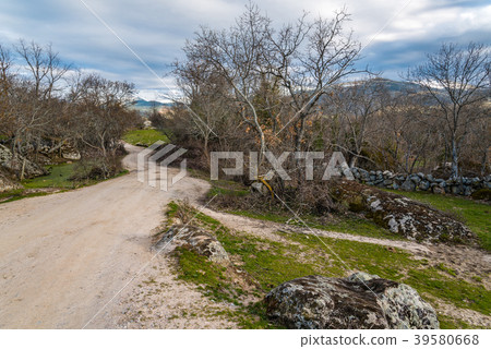 Landscape with green grass, rocks and road  39580668
