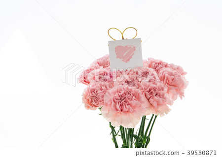Mother's Day, Yasuno Kaoru, Lover's Day, Mother's Day, Carnation, Valentine's Day, Mother's day Mother's Day, Yasuno Kaoru, Lover's Day, Mother's Day, Carnation, Valentine's Day, Mother's day 39580871
