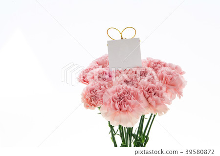 Mother's Day, Yasuno Kaoru, Lover's Day, Mother's Day, Carnation, Valentine's Day, Mother's day Mother's Day, Yasuno Kaoru, Lover's Day, Mother's Day, Carnation, Valentine's Day, Mother's day 39580872