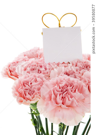  母親節，彌生薰，情人節，母親節，康乃馨，情人節，母親節 39580877