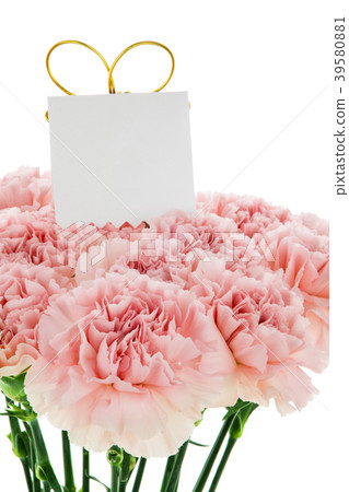  母親節，彌生薰，情人節，母親節，康乃馨，情人節，母親節 39580881