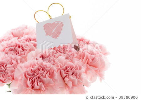  Mother's Day, Yasuno Kaoru, Lover's Day, Mother's Day, Carnation, Valentine's Day, Mother's day 39580900