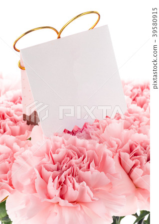 Mother's Day, Yasuno Kaoru, Lover's Day, Mother's Day, Carnation, Valentine's Day, Mother's day Mother's Day, Yasuno Kaoru, Lover's Day, Mother's Day, Carnation, Valentine's Day, Mother's day 39580915