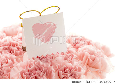Mother's Day, Yasuno Kaoru, Lover's Day, Mother's Day, Carnation, Valentine's Day, Mother's day Mother's Day, Yasuno Kaoru, Lover's Day, Mother's Day, Carnation, Valentine's Day, Mother's day 39580917