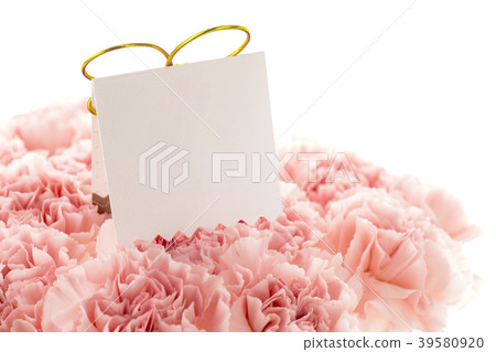 Mother's Day, Yasuno Kaoru, Lover's Day, Mother's Day, Carnation, Valentine's Day, Mother's day  Mother's Day, Yasuno Kaoru, Lover's Day, Mother's Day, Carnation, Valentine's Day, Mother's day 39580920