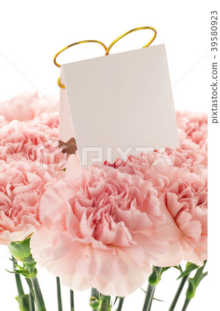 Mother's Day, Yasuno Kaoru, Lover's Day, Mother's Day, Carnation, Valentine's Day, Mother's day  Mother's Day, Yasuno Kaoru, Lover's Day, Mother's Day, Carnation, Valentine's Day, Mother's day 39580923