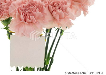  母親節，彌生薰，情人節，母親節，康乃馨，情人節，母親節 39580931