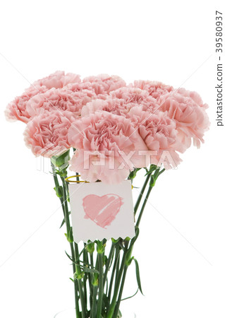 Mother's Day, Yasuno Kaoru, Lover's Day, Mother's Day, Carnation, Valentine's Day, Mother's day  Mother's Day, Yasuno Kaoru, Lover's Day, Mother's Day, Carnation, Valentine's Day, Mother's day 39580937