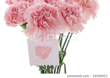 Mother's Day, Yasuno Kaoru, Lover's Day, Mother's Day, Carnation, Valentine's Day, Mother's day Mother's Day, Yasuno Kaoru, Lover's Day, Mother's Day, Carnation, Valentine's Day, Mother's day 39580953