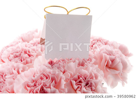  Mother's Day, Yasuno Kaoru, Lover's Day, Mother's Day, Carnation, Valentine's Day, Mother's day 39580962