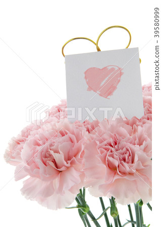  Mother's Day, Yasuno Kaoru, Lover's Day, Mother's Day, Carnation, Valentine's Day, Mother's day 39580999