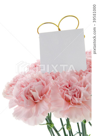Mother's Day, Yasuno Kaoru, Lover's Day, Mother's Day, Carnation, Valentine's Day, Mother's day  Mother's Day, Yasuno Kaoru, Lover's Day, Mother's Day, Carnation, Valentine's Day, Mother's day 39581000