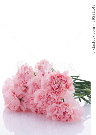  母親節，彌生薰，情人節，母親節，康乃馨，情人節，母親節 39581143