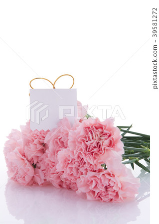 Mother's Day, Yasuno Kaoru, Lover's Day, Mother's Day, Carnation, Valentine's Day, Mother's day Mother's Day, Yasuno Kaoru, Lover's Day, Mother's Day, Carnation, Valentine's Day, Mother's day 39581272