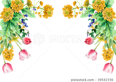 油菜籽花和郁金香裝飾框架繪與水彩 油菜籽花和郁金香裝飾框架繪與水彩 39581556
