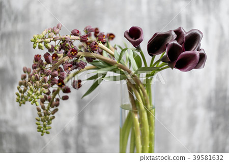 Bouquet of Beautiful violet-brown Fritillaria Bouquet of Beautiful violet-brown Fritillaria 39581632