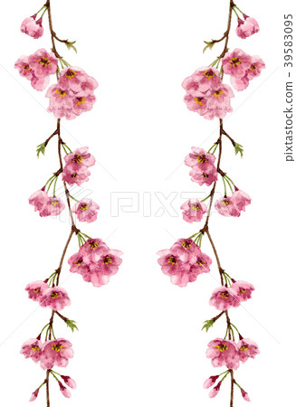 垂直櫻桃垂直頂點框架繼續 39583095