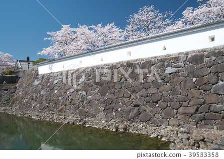 甲府城堡在春天 39583358