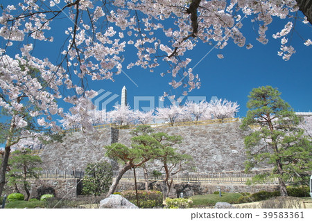 甲府城堡在春天 39583361