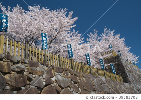 甲府城堡在春天 39583708