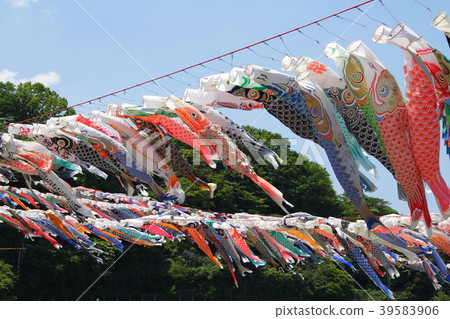 May Koinobori Children's Day May Koinobori Children's Day 39583906