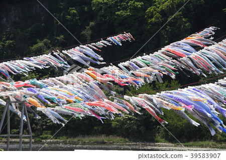 Koinobori Massive May兒童節 Koinobori Massive May兒童節 39583907