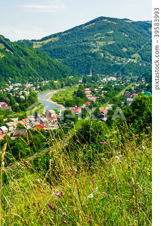 Rakhiv town in summer view from the hill Rakhiv town in summer view from the hill 39583993