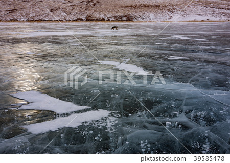 日落氣泡湖 日落氣泡湖 39585478