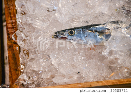 秋刀魚 秋刀魚 39585711